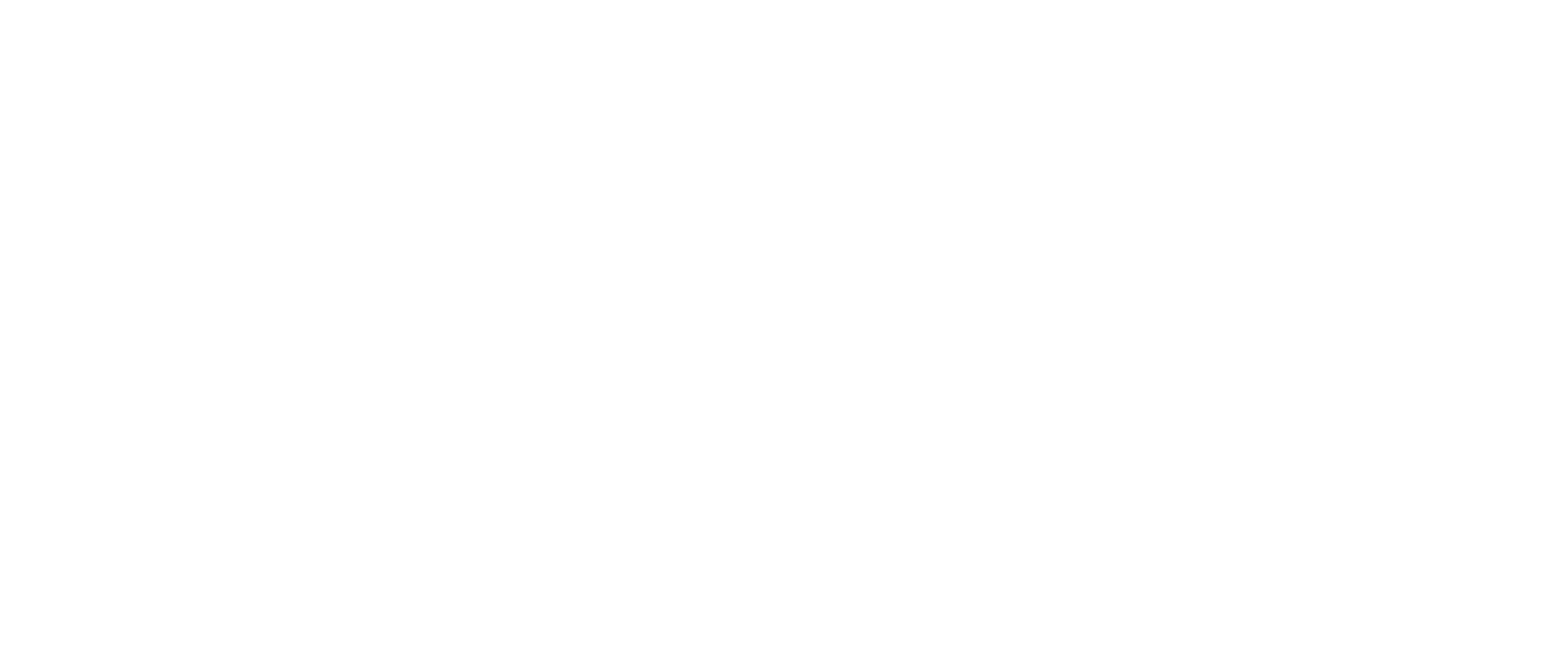 Zind-Consulting Logo
